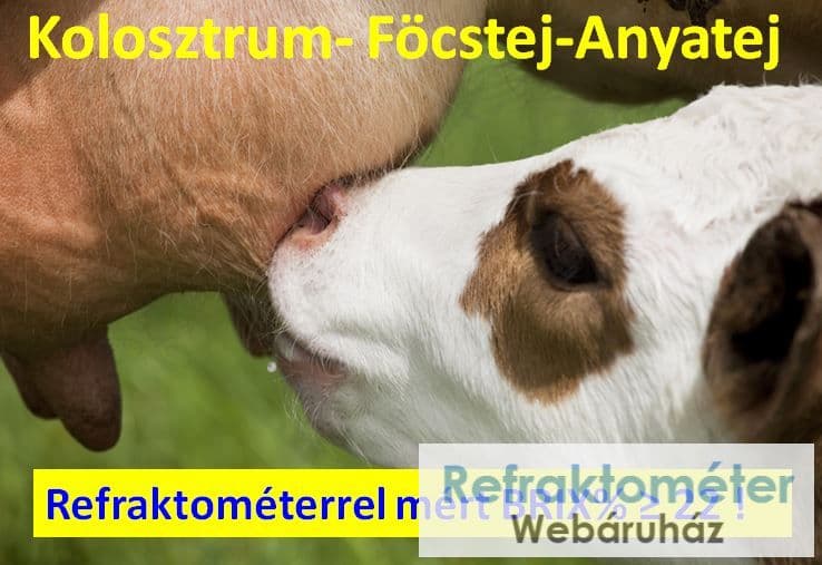 RHB32SG termékfotó